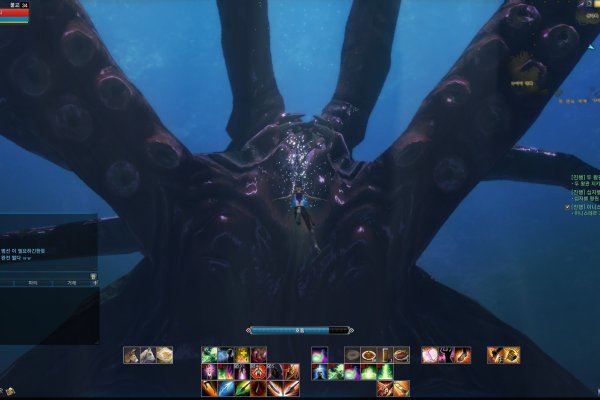 Kraken url