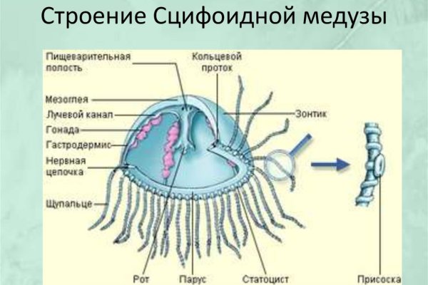 Кракен зайти зеркало